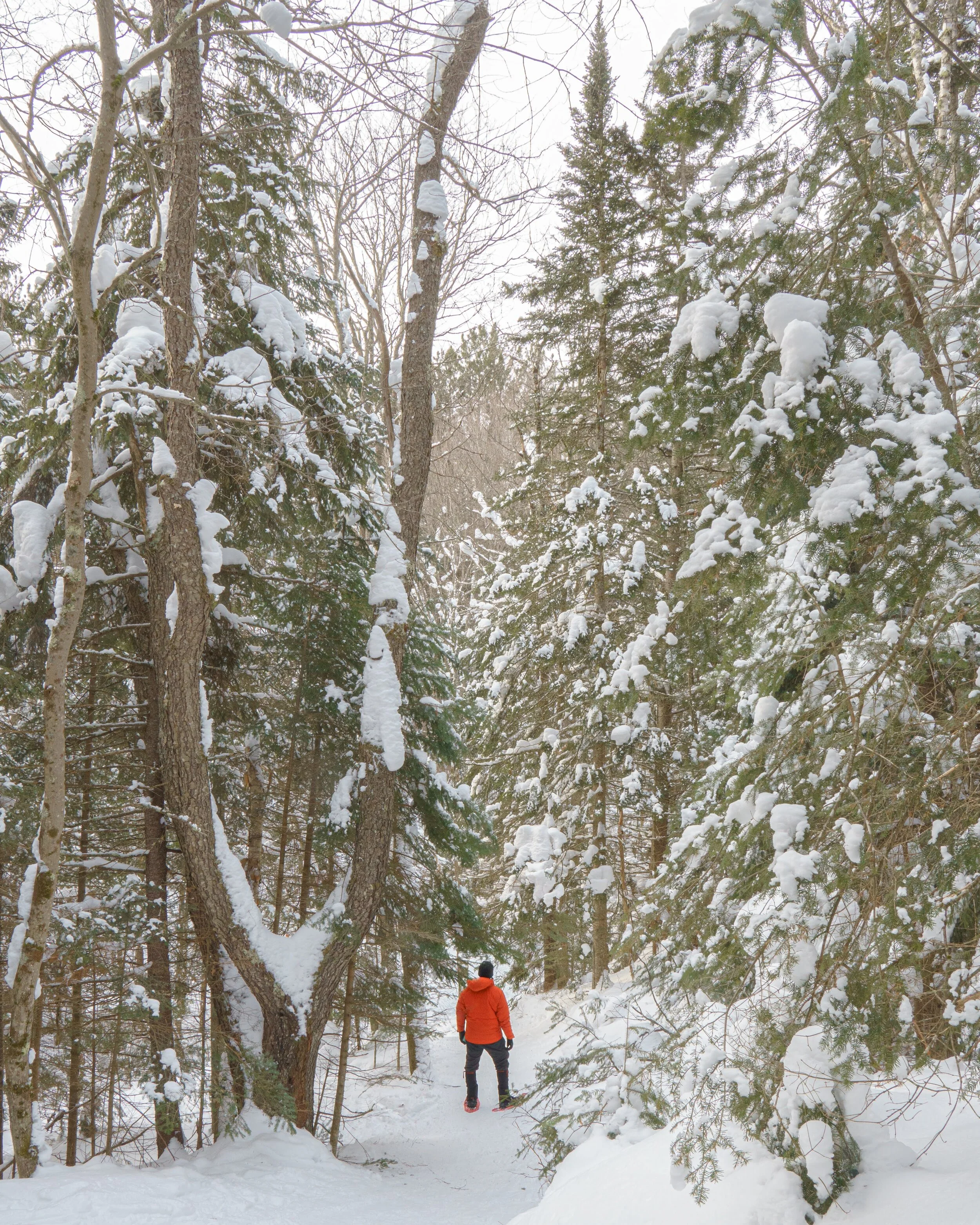 Adirondack top winter hiking